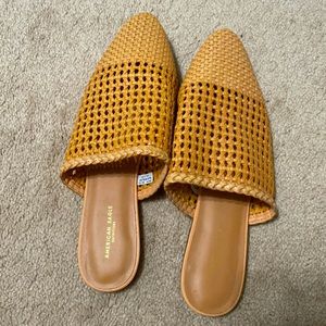 American eagle flats